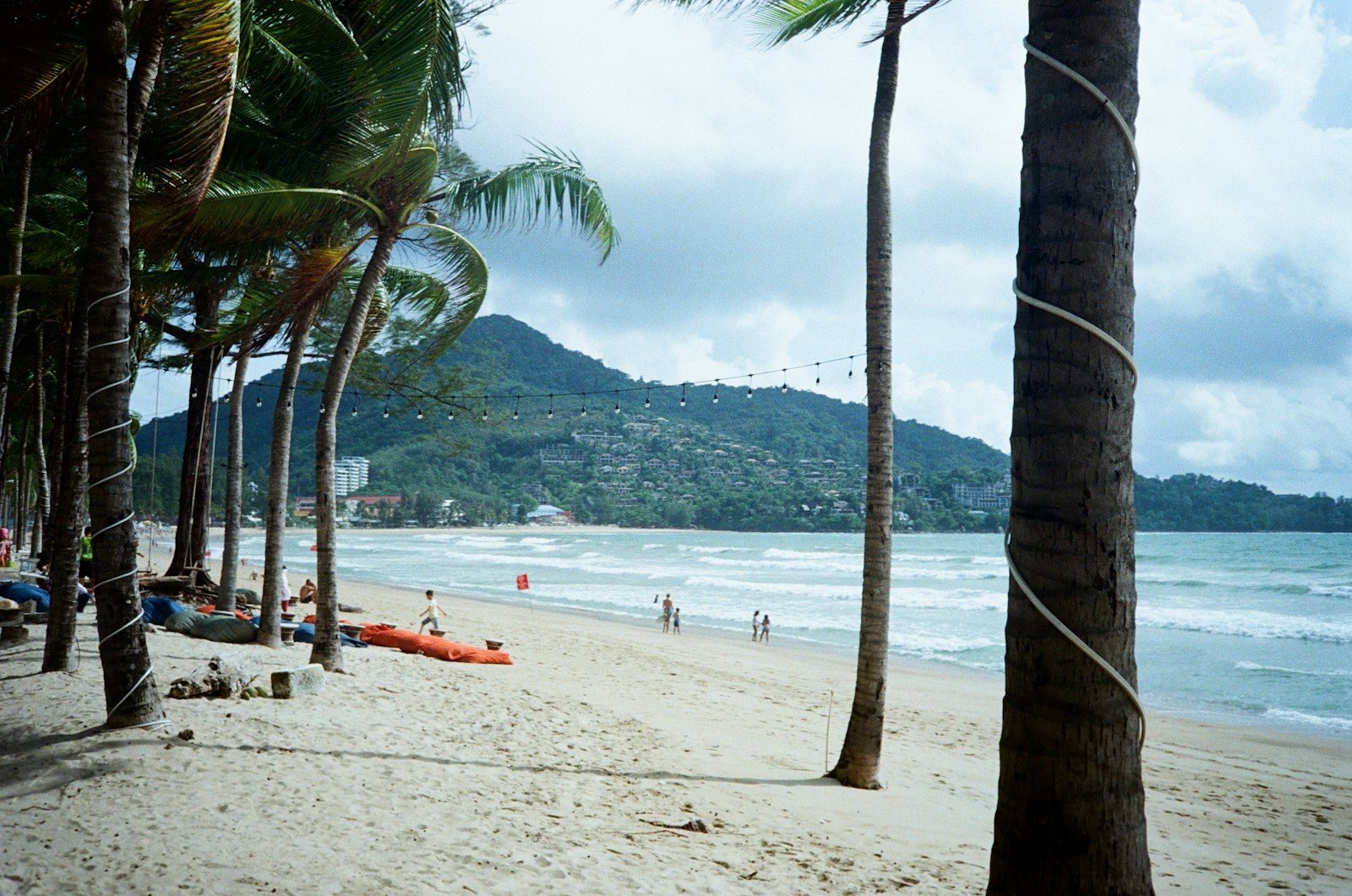 A palm-lined Phuket beach with hills behind, typical of the island's west coast
