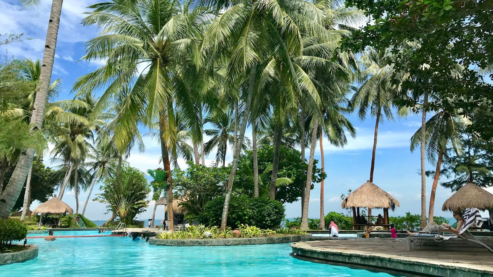 Family-friendly outdoor pool with coconut palm trees at a Phuket beach club