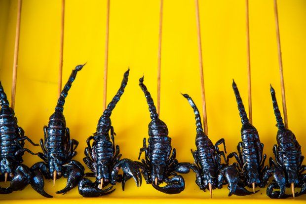 Black scorpions on wooden skewers against a bright yellow background