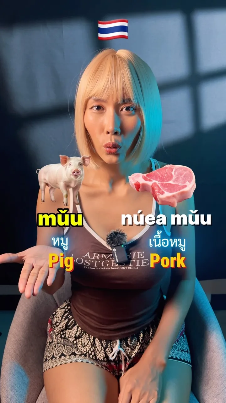 Pig vs Pork in Thai (moo and nuea moo), Phuket short video