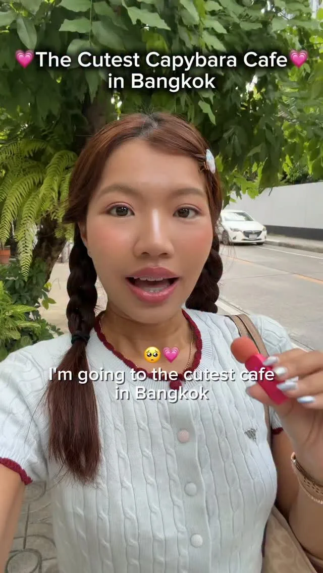The Cutest Capybara Cafe in Bangkok, Phuket short video