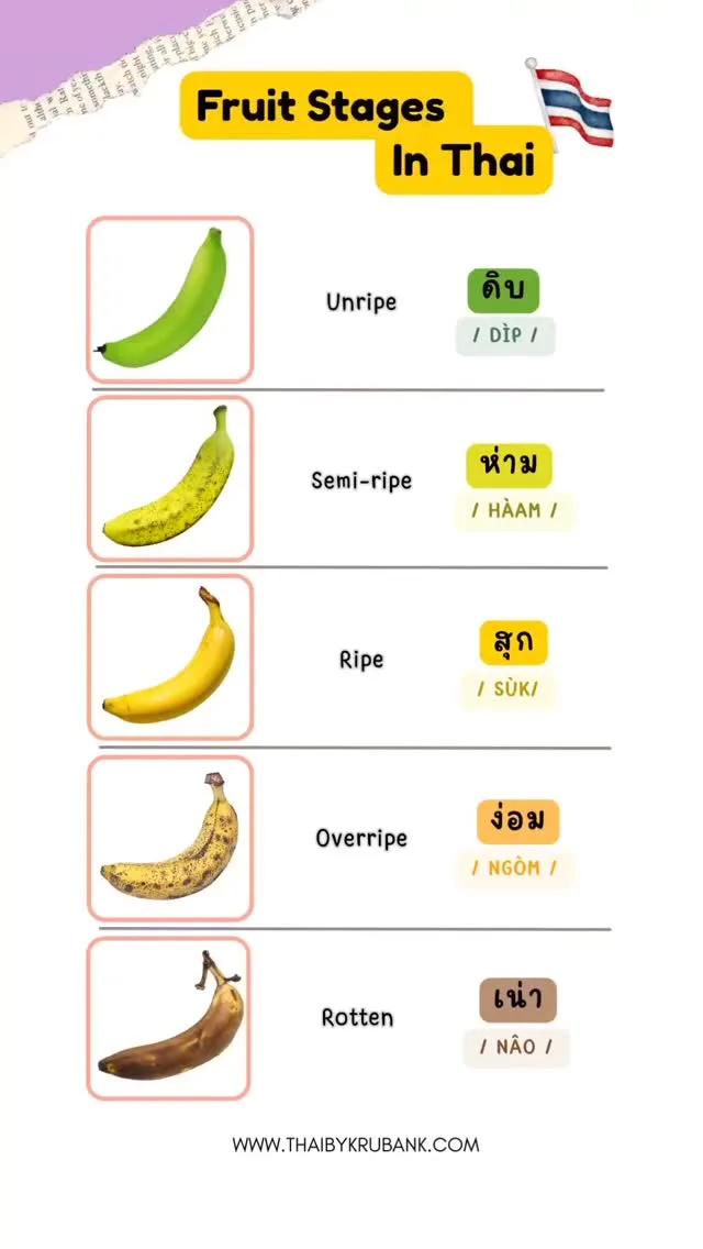 How to Say Fruit Ripeness Stages in Thai, Phuket short video