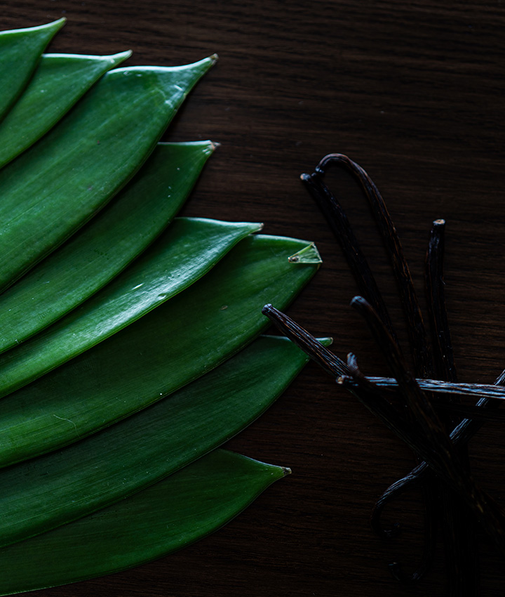 Fresh green leaves and dried vanilla pods on dark wood, farm-to-table ingredients at PRU in Bang Tao, Phuket.